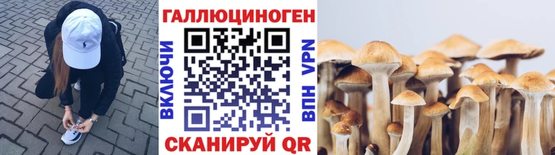 Галлюциногенные грибы мицелий  KRAKEN   Нарьян-Мар 
